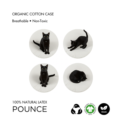 Pounce Natural Latex Cat Cushion and Handloom Cover Set